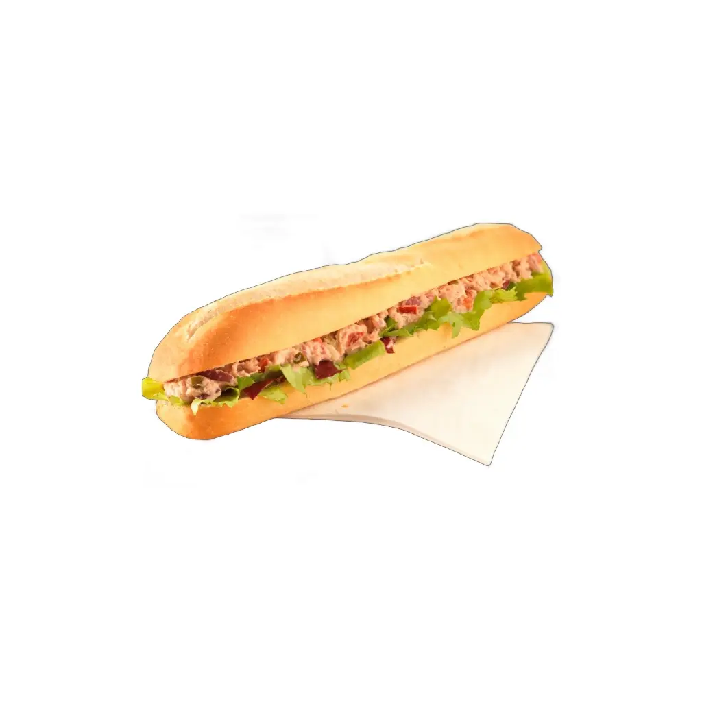 صاروخ تونه